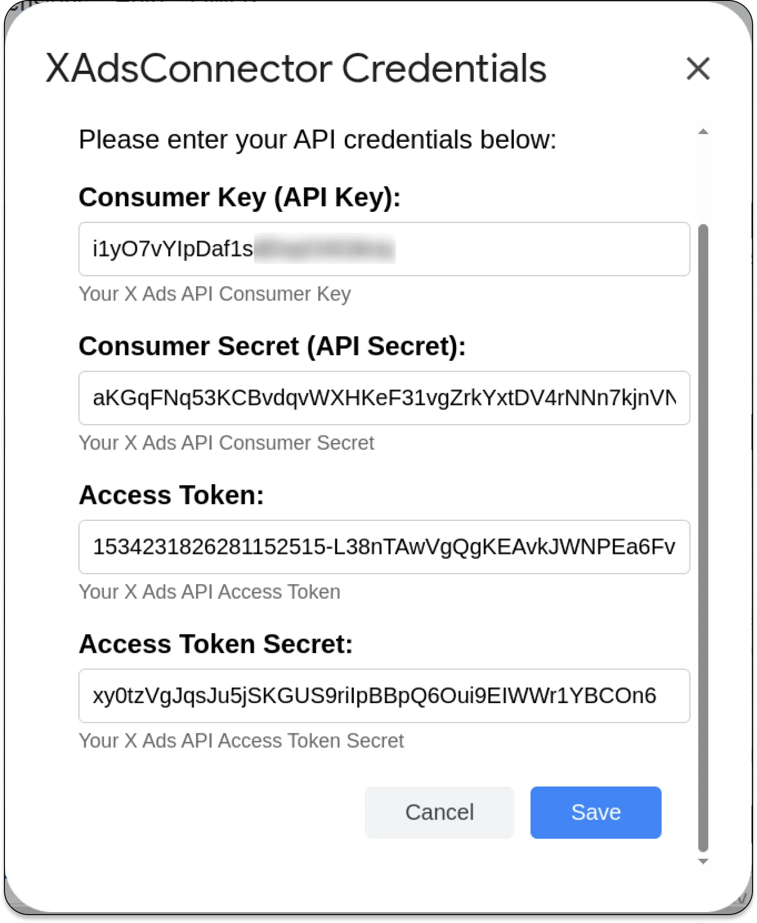 X Ads Credentials